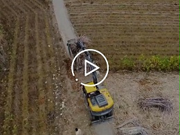 宝鼎抓木机展示