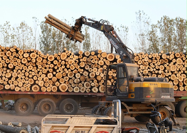 宝鼎轮式抓木机