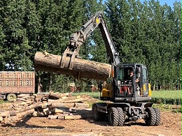 宝鼎BD90G抓木机河南实测