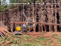 宝鼎抓木机视频