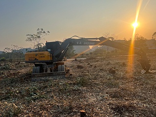 抓甘蔗的季节，宝鼎抓甘蔗机再展实力