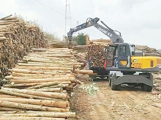 陡坡无惧，宝鼎120抓木机展现强劲爬坡实力