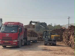 宝鼎抓木机料场打堆“神器”，轻松装卸成片木材