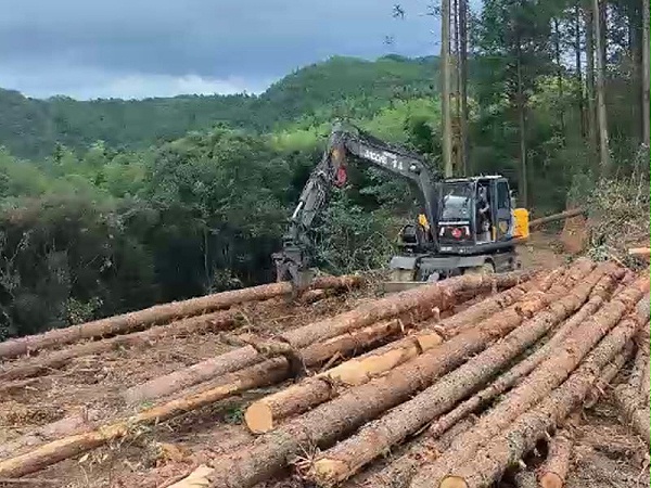 宝鼎抓木机抓长木
