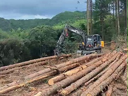 实力见证！宝鼎抓木机轻松驾驭长木作业