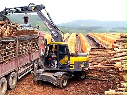 宝鼎抓装机，多元化工业与农业机械设备的应用