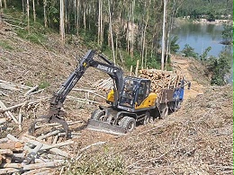 优质服务与创新技术：宝鼎抓木机出口增长的诀窍