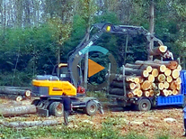 宝鼎河南抓木机操作视频