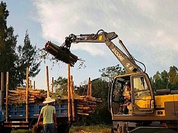 宝鼎多功能轮式抓木机