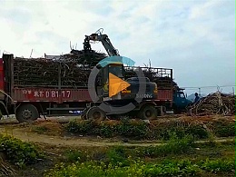 柳州抓木机抓甘蔗机作业